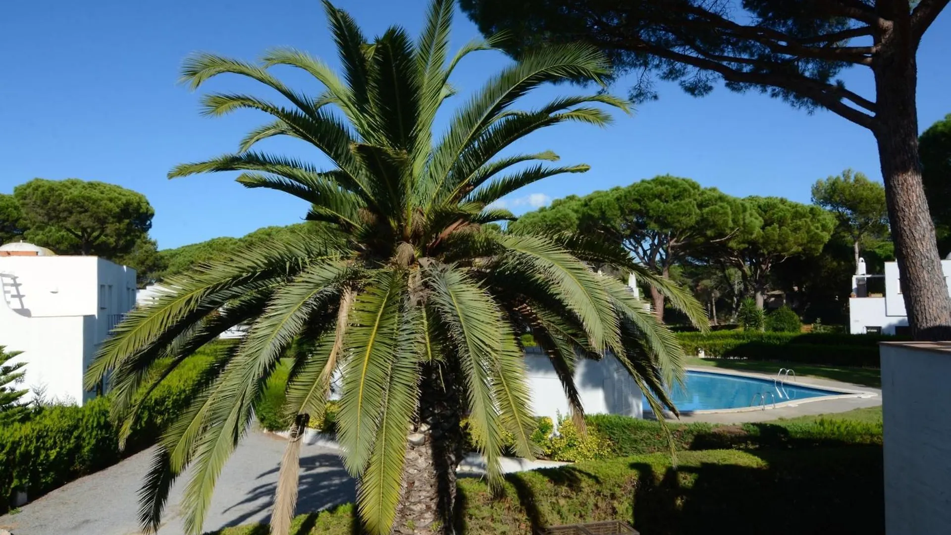 Piverd Del Golf 22 Pals Spain